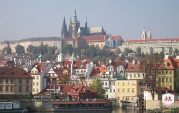 Tempo rastu cien v Česku bolo nižšie, než sa čakalo