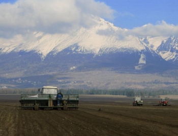 AGRO: V šiestom kole Slovensko predalo 5667 ton jačmeňa