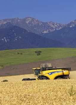 Ceny agrokomodít podľa komoditnej burzy poklesnú